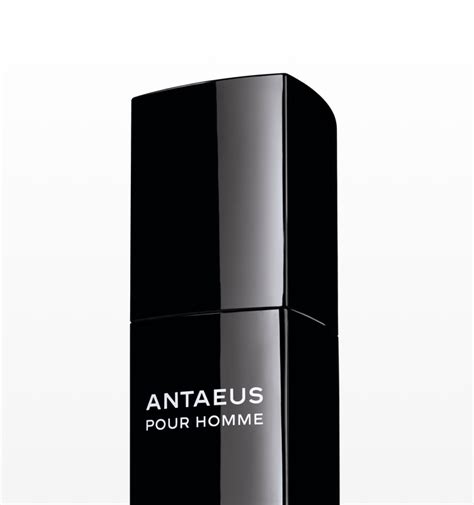 antaeus di chanel|chanel antaeus alternative.